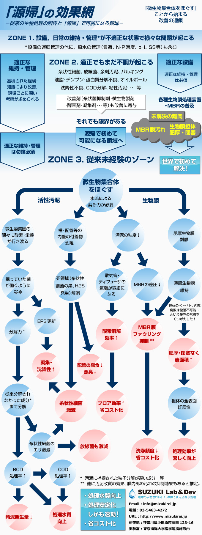 図c 糸状菌，未分解物質が減ったフロック